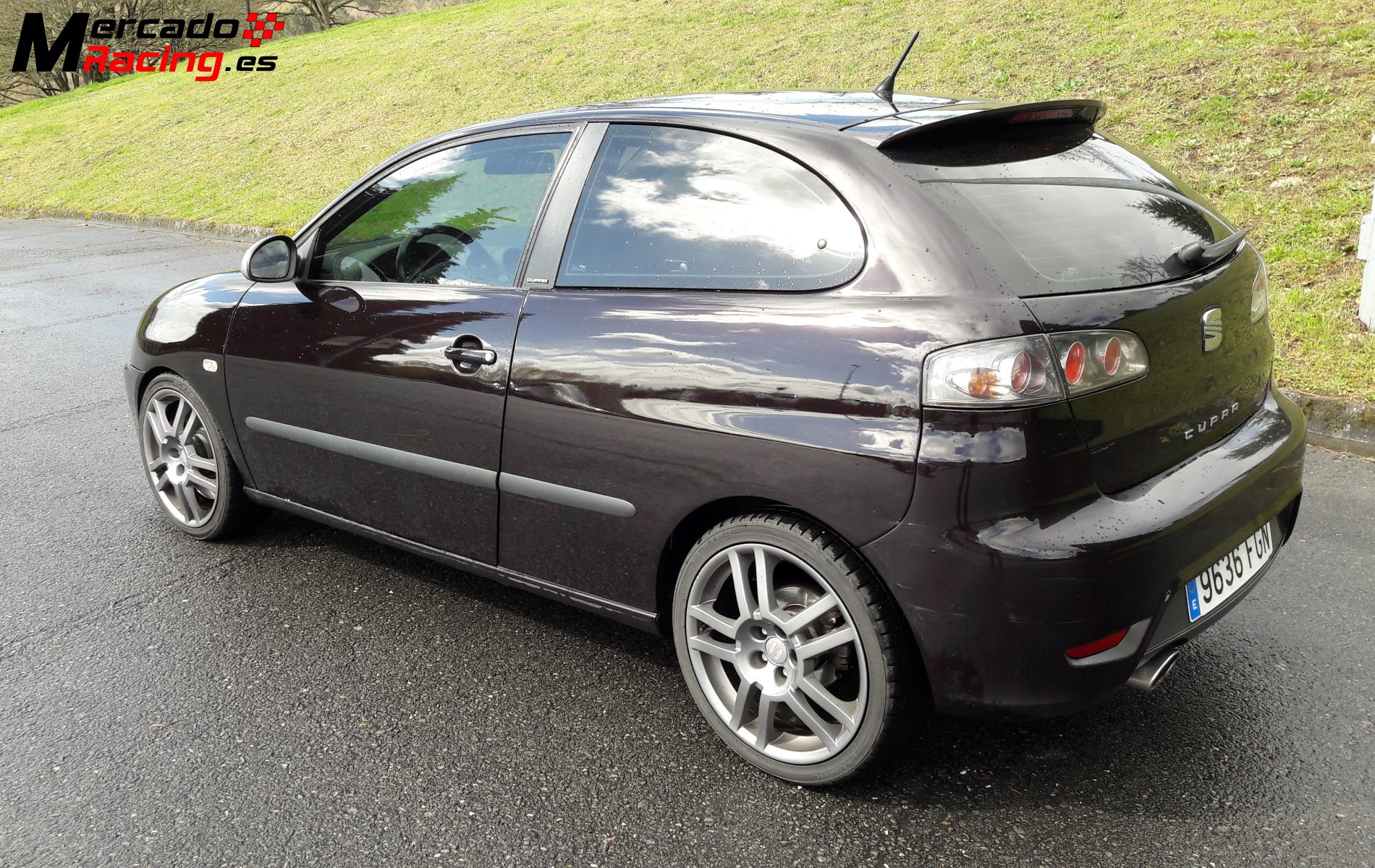 Seat Ibiza Cupra Tdi 160cv