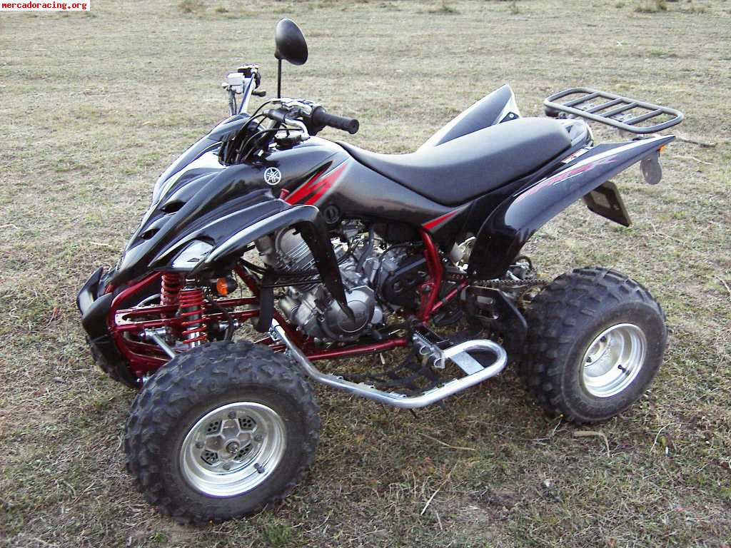 Quad Raptor 350