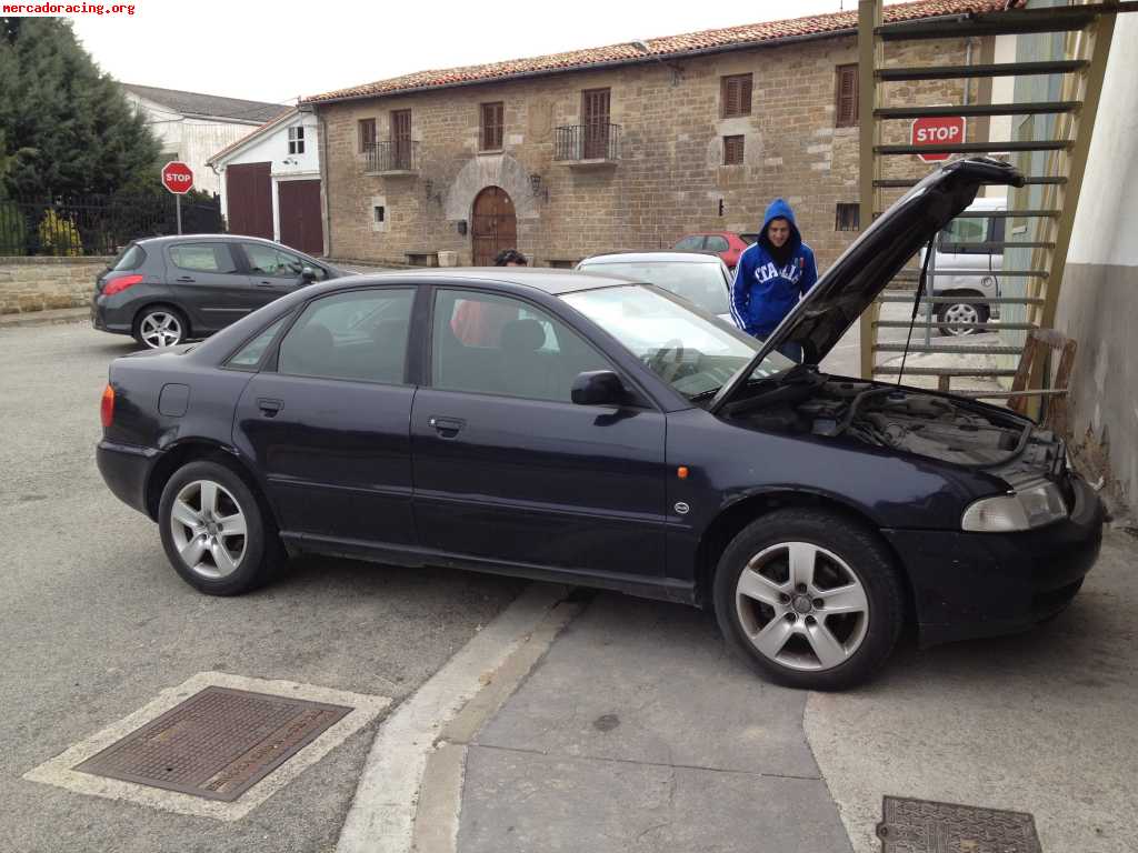 Audi hola 1