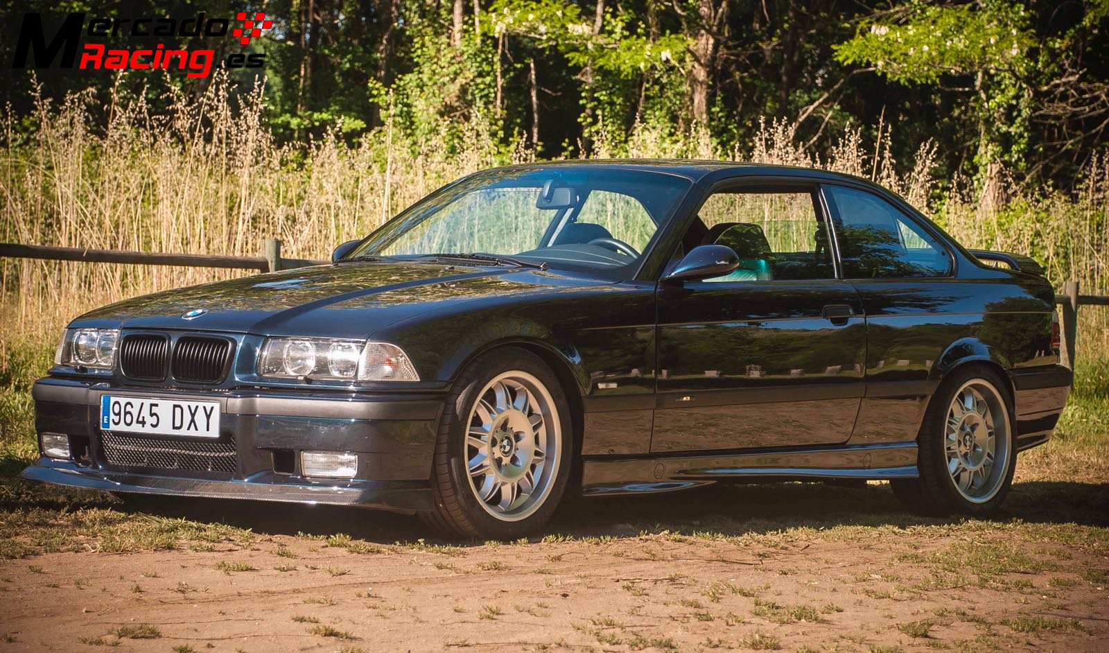 Schnitzer bmw e36