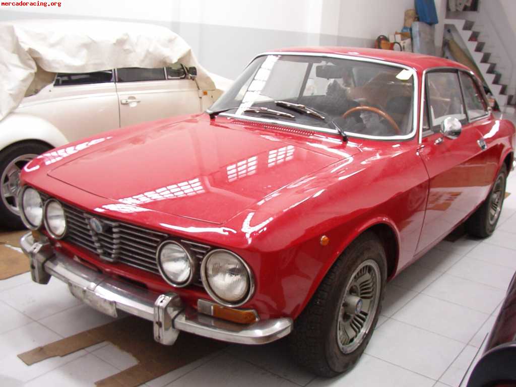 Alfa romeo junior