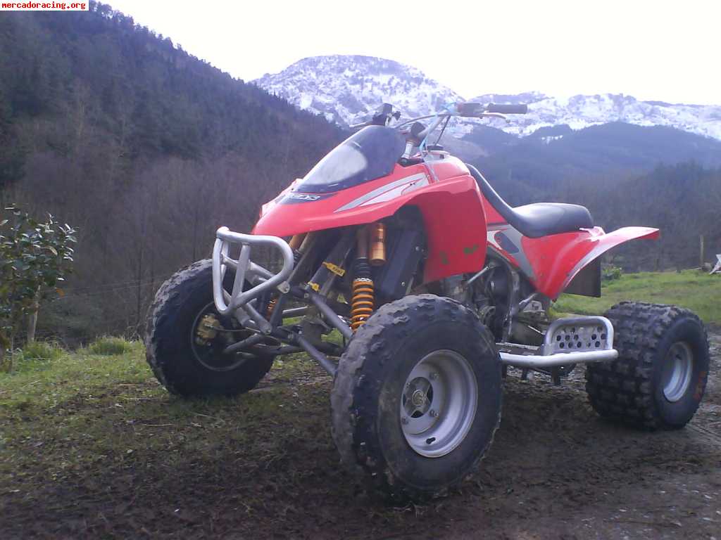 gas gas quad