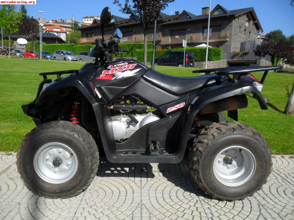 Kymco Quad 250 Ccm